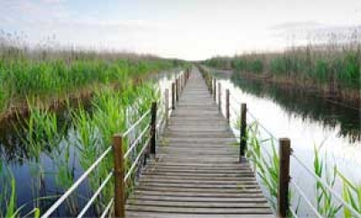 Estudios Hidrológicos