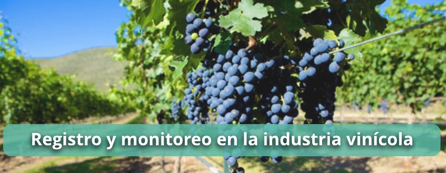 Registro y monitoreo en la industria Vinícola